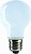 Лампа накаливания Soft 60W E27 230V T55 AZ 1CT (36664186)