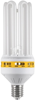 Лампа энергосберегающая КЛЛ 85/865 Е40 D105х308 6U
